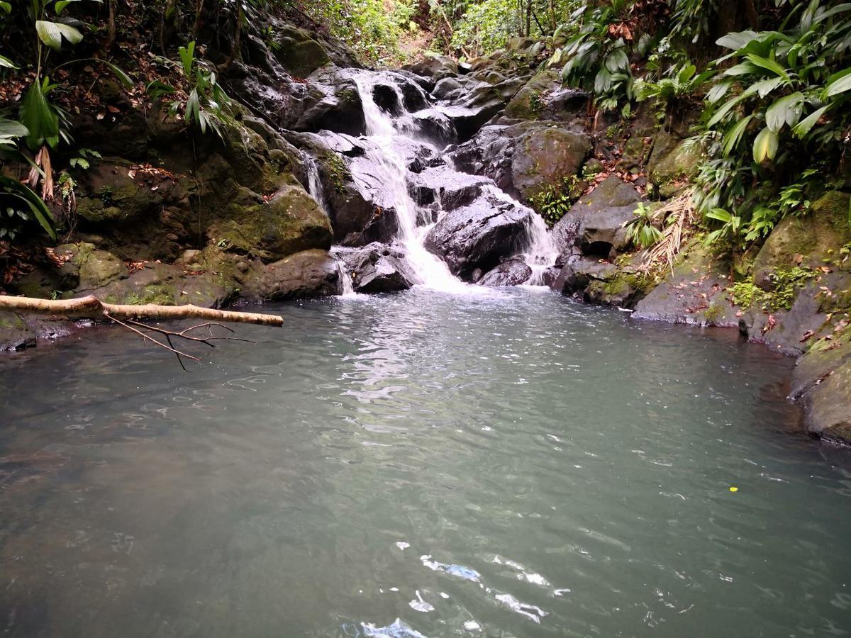 Duplex La Riviere Villa Deshaies Bagian luar foto